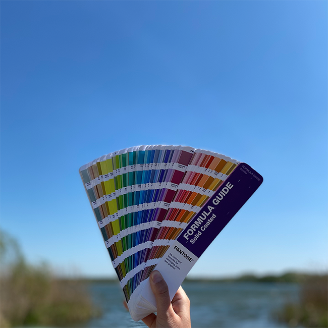 Pantone waaier die in de lucht wordt gehouden met een hemelsblauwe achtergrond.